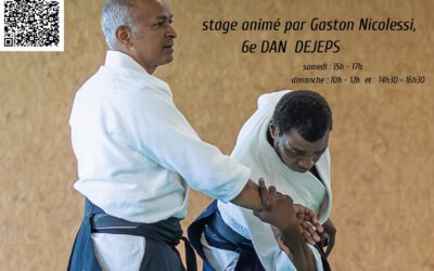 Stage Gaston Nicolessi Châtellerault